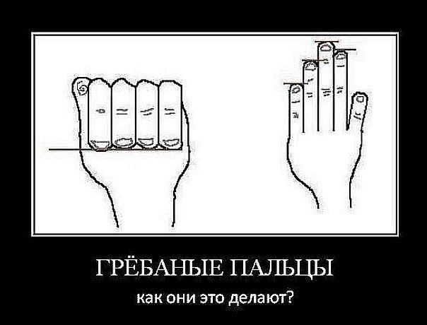 пальцы.jpg