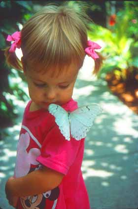 Butterflyonmyshoulder.jpg