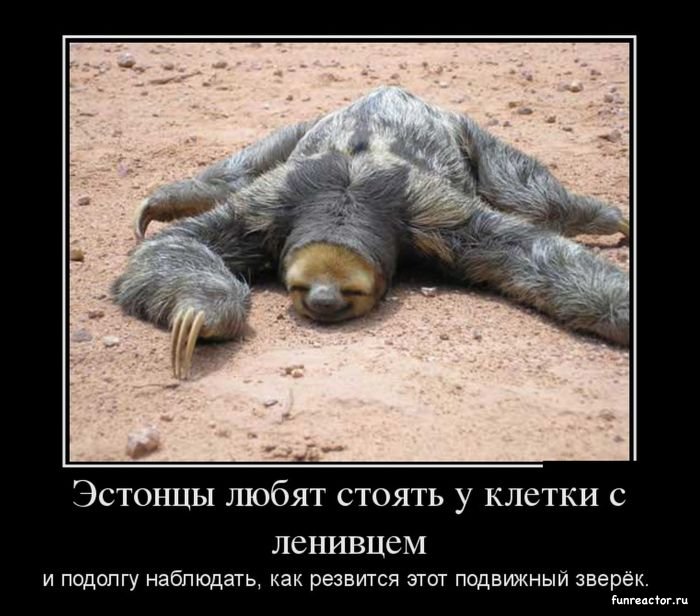 эстония-демотиватор-песочница-532426.jpeg