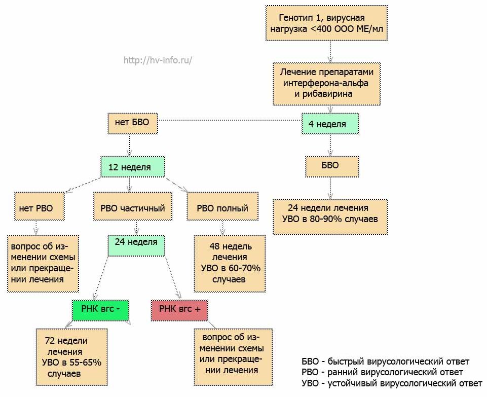 shema-pvt(1).jpg