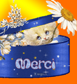 Merci.png