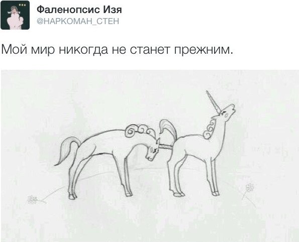 единороги.jpg