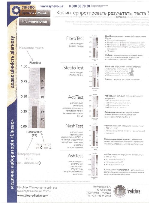 фибротест2.jpeg