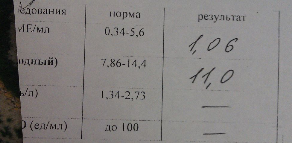 Анализ на гормоны щитовидной железы 12 недель