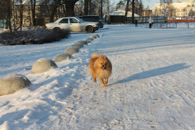 Кексик веселится