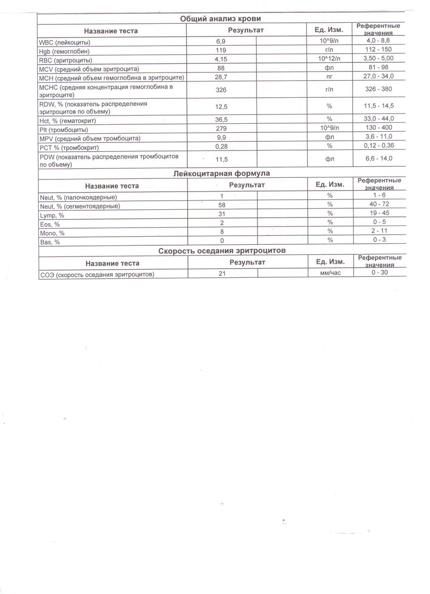 общий анализ крови.jpg