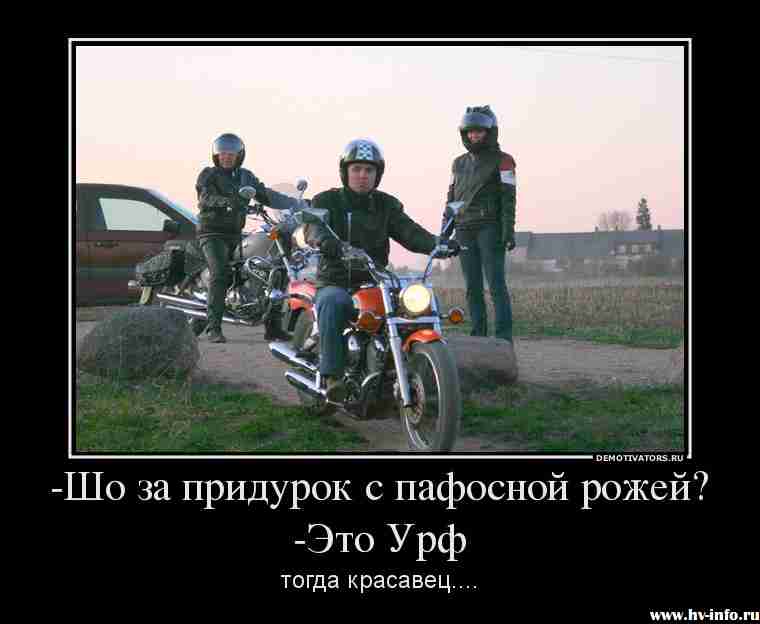 550383_-sho-za-pridurok-s-pafosnoj-rozhej-eto-urf_demotivators_ru.jpg