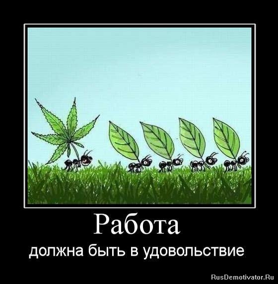 работа в удовольствие.jpg