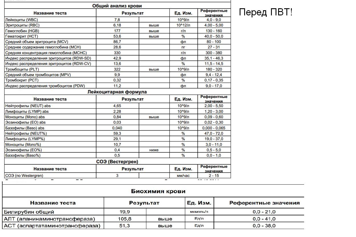 Клин анализ.JPG