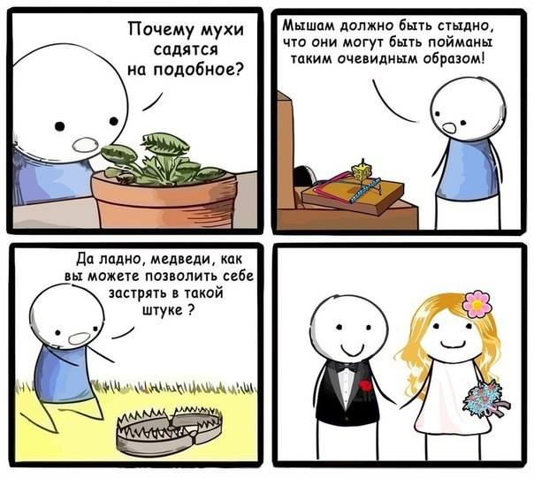 ловушка.jpg