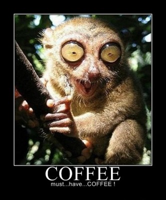 funny-coffee-poster_59EB7792-0FDF-D3B7-0184980955CCD3B7.jpg