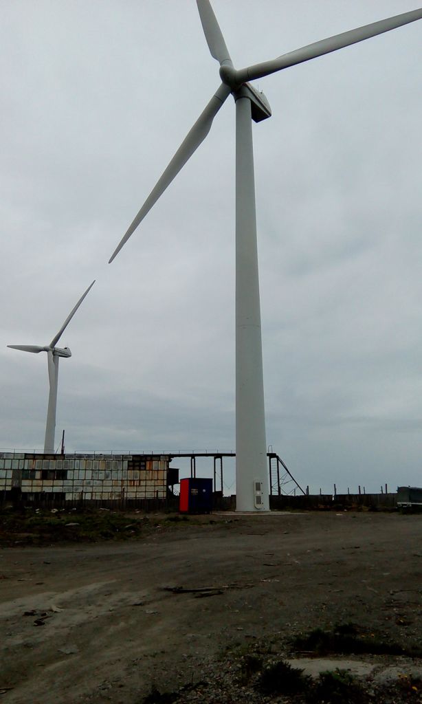 громадные ветряки-вырабатывают энергию для местного рыбзавода