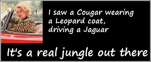 cougar-in-leopard-skin1.jpg