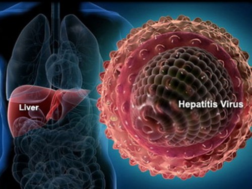 11808-hepatitis.jpg