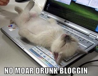 drunkblogcat1.jpg