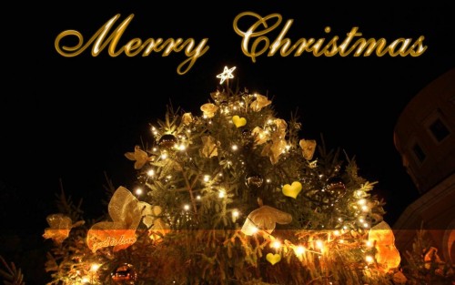 wonderful_merry-_christmas-_images.jpg