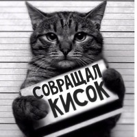 кот соврун.jpg