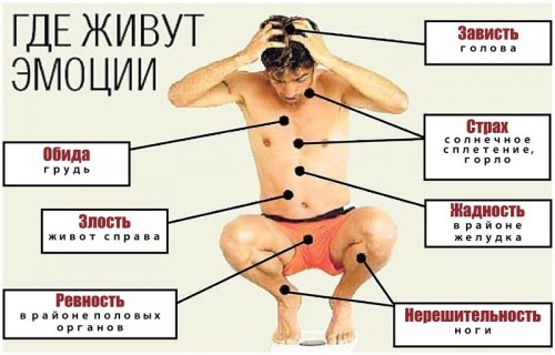 image (14)м.jpg