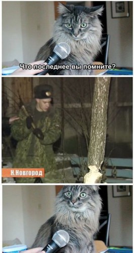 Вофке.jpg