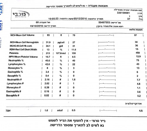 imgonline-com-ua-compress-by-size8SnzX3NedkS3.jpg