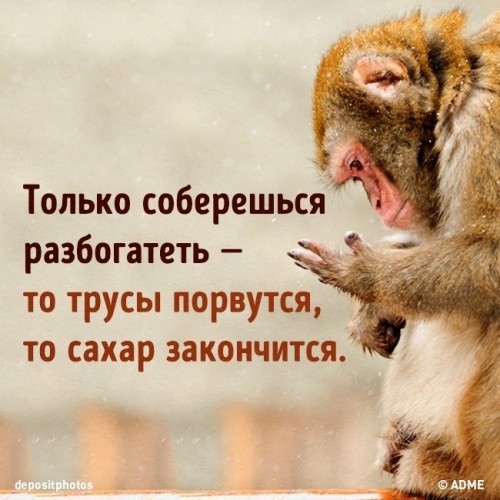 Правда жизни))
