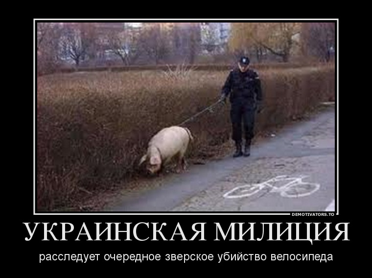 42361934_ukrainskaya-militsiya.jpg
