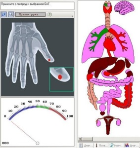 hand-org