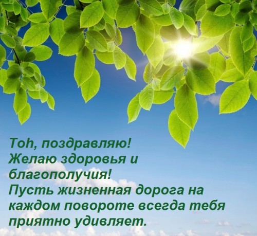 веточка.jpg