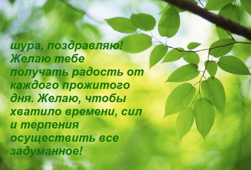 веточка_.jpg