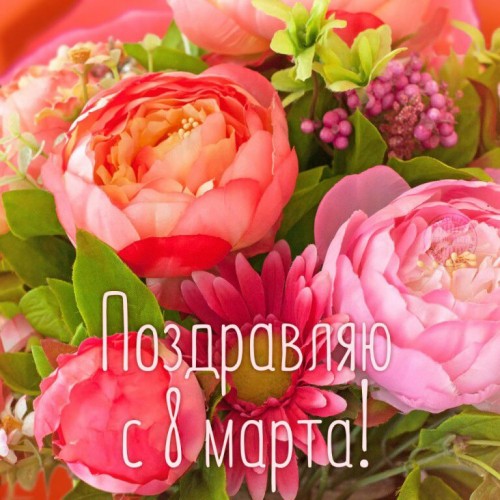 IMG-20170309-WA0000.jpg