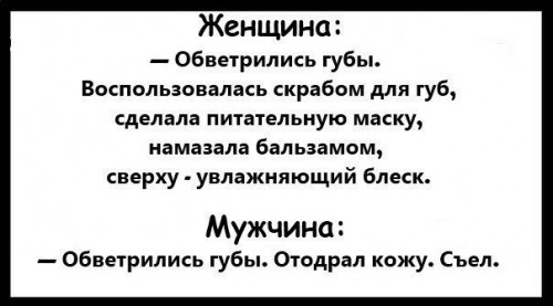 1-11137089.jpg