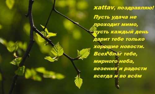 веточка.jpg