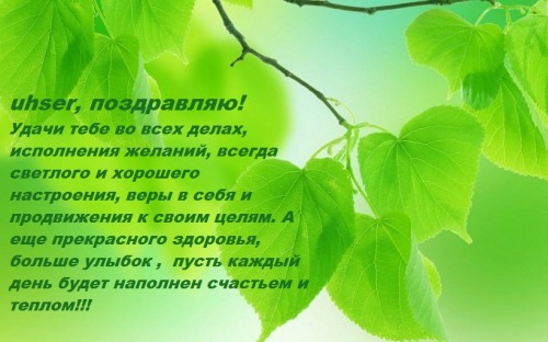 веточка.jpg
