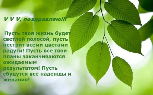 Веточка.jpg