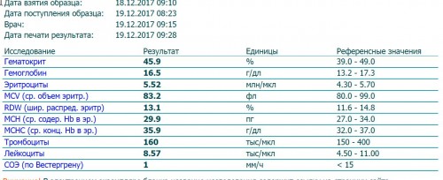 6 неделя теры (1)