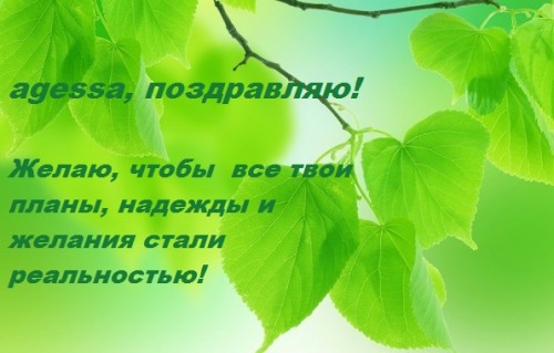веточка.jpg