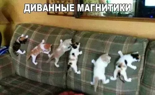 image (28).jpg