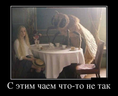 b83da0fd019e.jpg