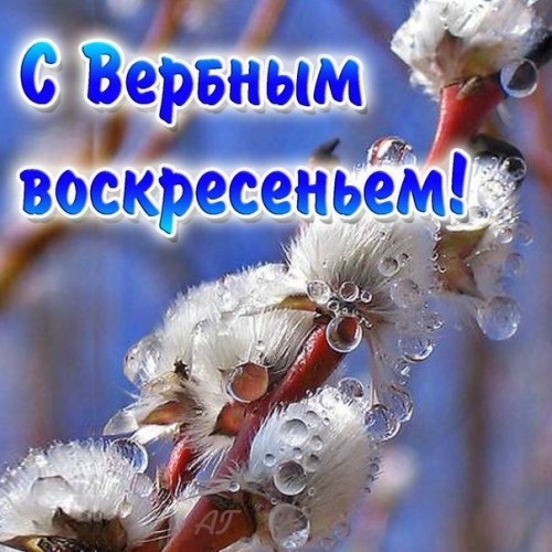 IMG-20180401-WA0012.jpg