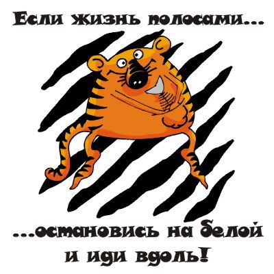 123.jpg