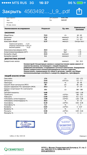 IMG_2542.PNG