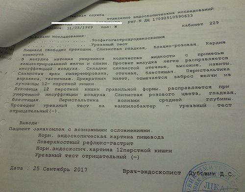 желудок.jpg