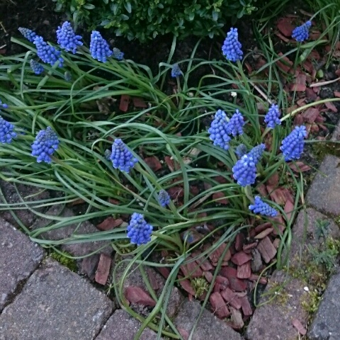 rps20180417_131330.jpg