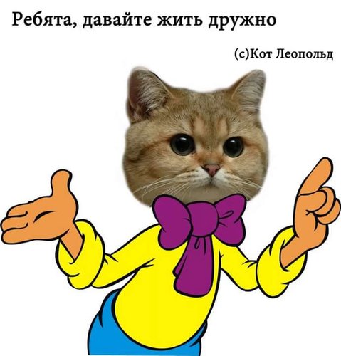 1524141327661_i.jpg