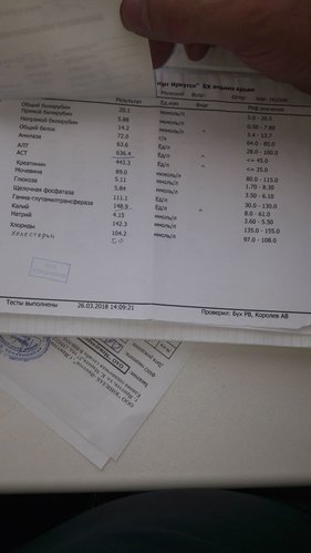 BD4ED923-1850-4EF5-B0BD-5EECEE9050D9.jpeg