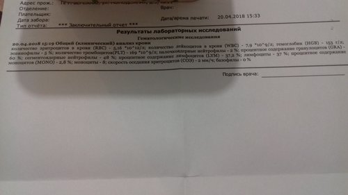 оак.jpg