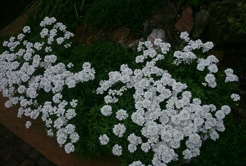 rps20180424_074644.jpg