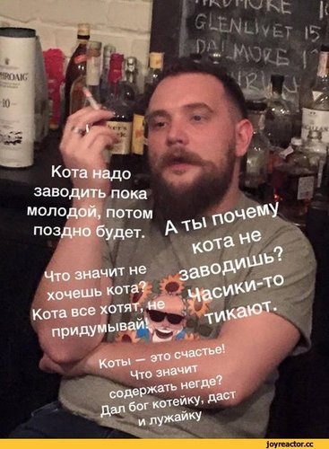 image-1.jpg