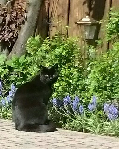 rps20180426_153554.jpg