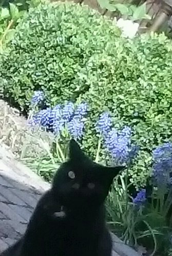 rps20180426_153835.jpg